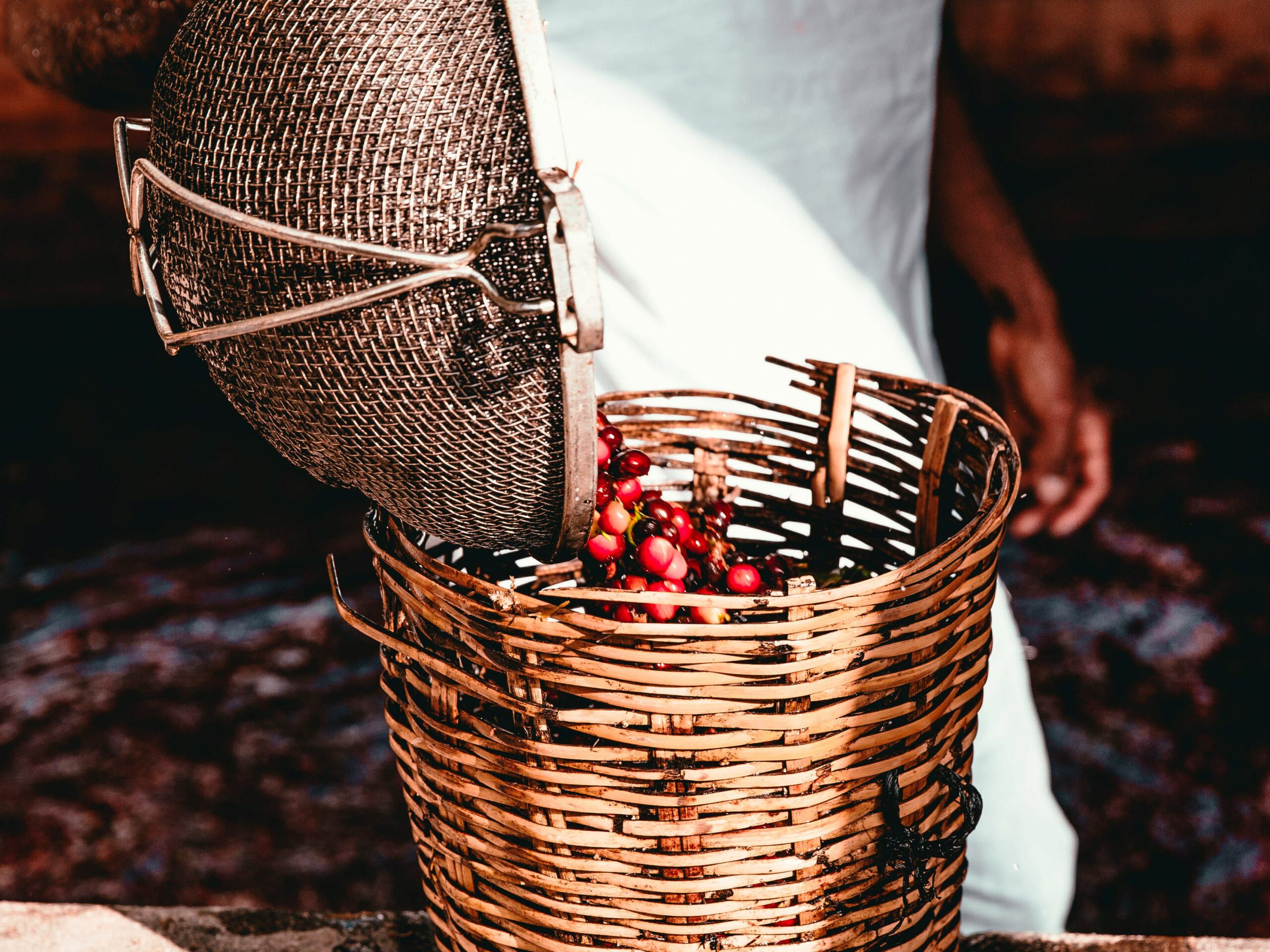 Mehr über den Artikel erfahren Was heisst Single Origin?